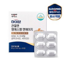 (주)일동후디스 하이뮨 관절엔 MSM NAG 1 100mg 60정 (1개월분), 상세 설명 참조, 단일옵션