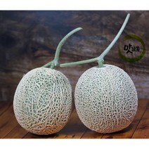 맛가득 빛센서선별 고당도 메론 칸탈로프멜론 파파야메론 머스크메론, 얼스멜론 (센서선별) 1.63Kg-1.7Kg