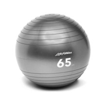 Life Fitness 그레이 75CM 안정성 볼
