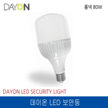 데이온 LED 보안등 주광색 롱넥 80W E39 220V, 1개
