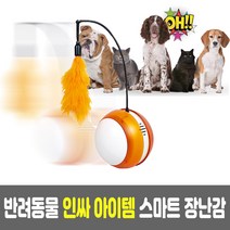 분리불안 강아지 고양이 장난감 자동 놀이기구 펫로봇, 1개, 초록볼