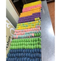 HACCP마카롱납품 뚱카롱납품 수제 마카롱 도매 대량주문 단일 마카롱 160개, 바나나우유