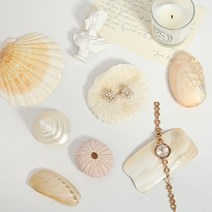 크리스탈 감성 인테리어 촬영 소품 오너먼트 조개 트레이 오션 오브제 버섯 산호 모형 OBJ-028 무배, 06_가리비 OBJ-28
