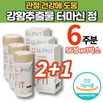 터마신 수용성 인도산 강황추출물 선인장열매 농축분말 해조칼슘 40대 50대 60대 70대 남성 여성 노인 관절 연골 영양제, 2+1박스