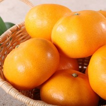 [정감푸드] 제주 서귀포 산지직송 제철과일 명품 천혜향 가정용 특가할인 2kg 3kg 4.5kg, 1. 가정용 2kg (6~10과)