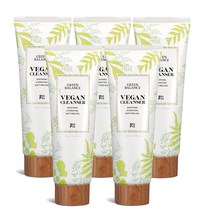 천연 비건 팩 클렌저 약산성 폼 클렌징, 5개, 100ml
