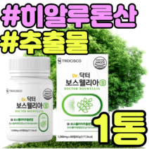 40대 여성 보스웰리아 인도산 히알루론산 우슬 보스웰릭산 AKBA KBA 65 뉴질랜드 버드나무껍질 치커리 우슬 녹색 홍합 초록입 초록 푸른 푸른잎 초록잎 비타민C 아연 엽산