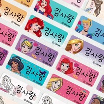 네임코코 캐릭터 방수 네임스티커 디즈니 헬로키티, 627-소형디즈니공주