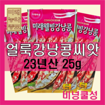 23년산 국산 얼룩 강낭콩 씨앗 25g -비넝쿨성