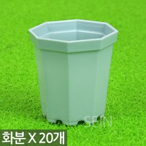 다육이화분 민트 X 20개 - 인테리어 플분 다육 플라스틱 미니 화분 어린이 식목일 행사 어린이집 유치원 선인장 식물 모종 삽목 홈 가드닝