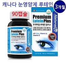 내츄럴라이즈 루테인 지아잔틴 눈 영양제 비타인A 빌베리 마리골드 황반 아연 비타민E 캐나다직수입, 500mg, 90캡슐
