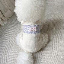 그루밍독 반려동물 순면 두루마기 원피스 설빔 한복, 블루 두루마기