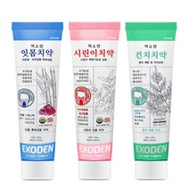 엑소덴 입냄새 구취 제거 잇몸 시린이 건치 치약 120g, 엑소덴 건치치약 120g