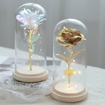 금장미 금카네이션 홀로그램 장미 카네이션 유리돔 LED 무드등 어버이날 기념일, 대형유리돔(20cm)