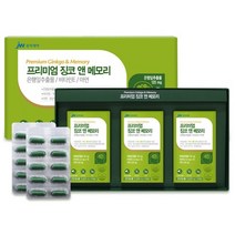 중외제약 징코앤메모리 뇌영양제처방 머리좋아지는약