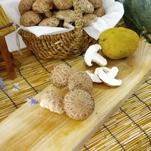전남구례 지리산 생 표고버섯 알뜰표고 못난이 프리미엄 1kg 화엄골 표고버섯, 프리미엄 생표고버섯 1kg, 1개