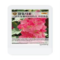 겹접시꽃 스프링셀러브리티즈 카민로즈 씨앗 10립 겹접시꽃 꽃씨 씨앗 대장