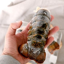랍스타테일 4oz 5미 (550~600g) 캐나다산, 1개