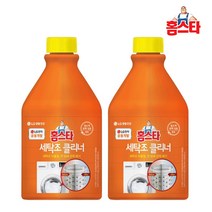 홈스타 세탁조 클리너 450mlx2개/세탁기소독살균, 1개