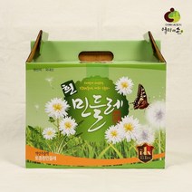 SSBEST국내산 흰민들레즙 1박스(100ml x 60p), 상세페이지 참조, 상세페이지 참조