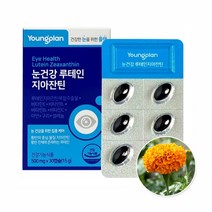 영진약품 영플랜 눈건강 루테인지아잔틴 500mgX30캡슐 1박스(1개월), 1박스, 30캡슐