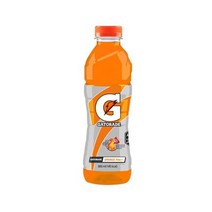 롯데칠성 게토레이 오렌지 600ml 18개