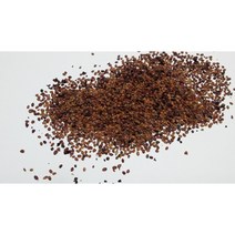 댕댕이나무(하니베리)씨앗2g(500립)