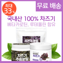 코즈덤 차즈기 분말 가루 효능 자소엽 추출물 차조기 잎 차즈기 추출 분말 500g, 02. 차즈기 분말 500g 2개