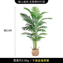 인조 바나나나무 인조목 모조 야자 관엽 휴양지 식물, 아오이 200cm