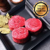 웰굿 [냉장][숙성육]1++(9)등급 숙성한우 불고기 500g, 1