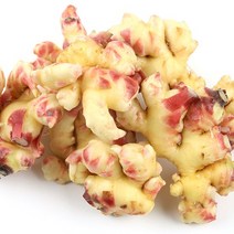 세척생강 3kg, 단품, 1개