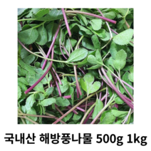 해방풀나물 해풍맞은 방풍나물 해방풍 갯방풍 500g 1kg 2kg 국내산 산지직송 봄나물 무침 붉은줄기 제철나물 방풍나물무침, 1box