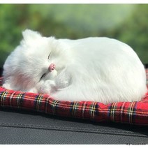 KC인증 차량용 활성탄 미니캣 리얼펫 고양이 제습인형, 1미미캣-브리티쉬숏