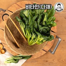 당일작업 국내산 비타민 다채 샐러드 야채 채소, 1kg, 1개