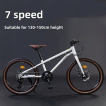 20/22/24 인치 MTB 자전거 7 속도 지방 타이어 산악 2.0 3.0 디스크 브레이크 비치 스노우 모빌 스피드 팻, 22x2.0인치 3