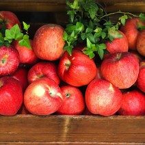 경북 산지직송 당도선별 가정용 정품 꿀사과 부사사과 2kg 3kg 5kg 10kg, (가정용) 5kg / 중소과 / 19-21과
