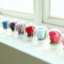 *더봄* 프리저브드 플라워 유리돔 집들이선물 아크릴돔, 파우더블루