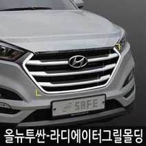 올뉴투싼 라디에이터 그릴몰딩 몰딩 보호대 가니쉬, 쿠팡 본상품선택