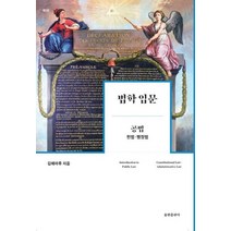 법학 입문 공법: 헌법 행정법, 율현출판사