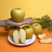 [산지직송] 시나노골드 황금사과 스위트 시나노, 실속 3kg(9-10과), 1개