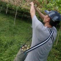 과수원 농산물 작업용 사과 수확 앞치마 가드닝, 단일사이즈