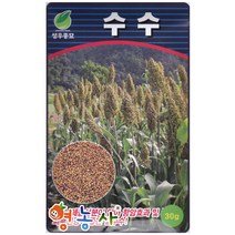 성우 수수 씨앗 30g