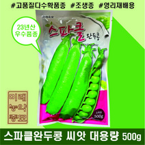 23년산 스파클완두콩 씨앗 500g- 미래종묘 대용량 다수확 영리재배용 품종 조생종