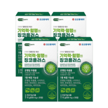 징코플러스 은행잎추출물 기억력 개선 혈행 개선도움, 6개(무료배송+추가할인)