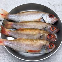 국내산 손질 금태 1팩(4-7미) 귀한 고급생선 빨간고기 눈뽈대 /구이, 1개