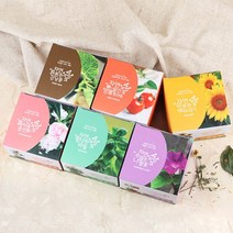 JAYART18_자연애 마이가든 식물 기르기 방울토마토키우기 미니키우기 해바라기키우기 강낭콩키우기 허브바질키우기 초보용키우기 봉선화키우기+jac230126, (주)제이아트co_봉선화