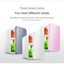 미니 화장품 냉장고 2023 냉장고 110V 소형 선물 자동차 냉동 뷰티 8L, White dual-use_미국