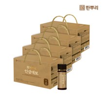 CJ웰케어 한뿌리 인삼대보 10병 4박스, 100ml, 40개