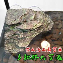반수생거북이 키우기 커먼머스크터틀 거북이육지 3자어항 키우기쉬운물고기