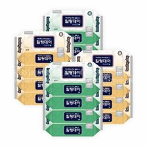 힐링데이(=카네이션과 같은공장 동일제품임) 엠보싱 대형물티슈 캡형 60매(200x300mm) 20팩(1200매) 1박스